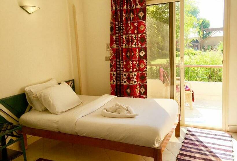 Standard Single Room, New Memnon