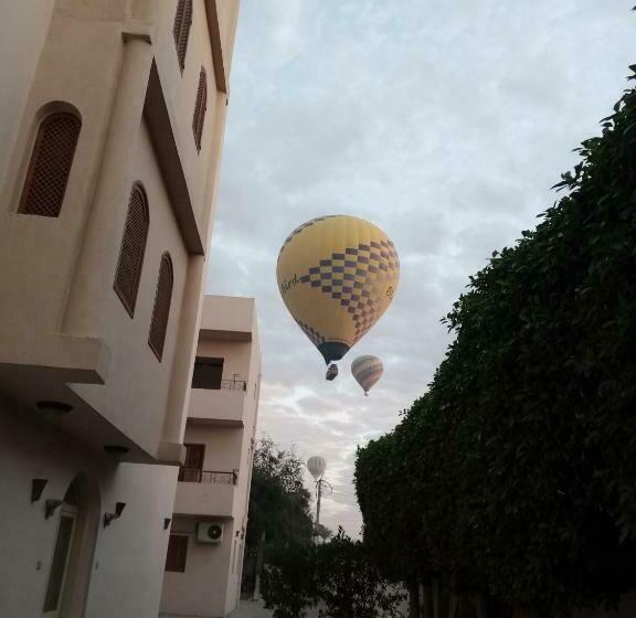 اتاق استاندارد یک نفره, New Memnon
