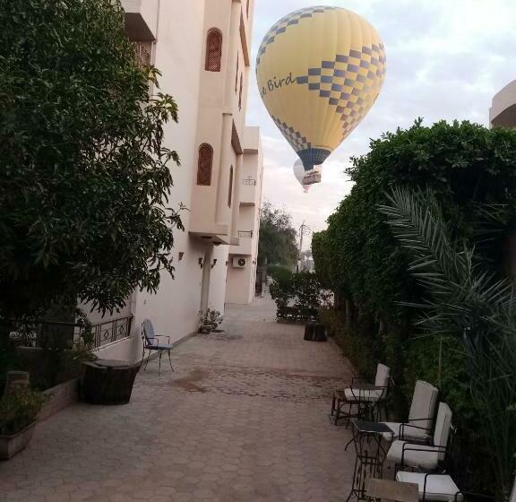 اتاق استاندارد یک نفره, New Memnon