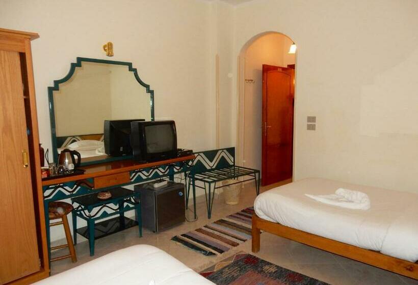 اتاق استاندارد یک نفره, New Memnon