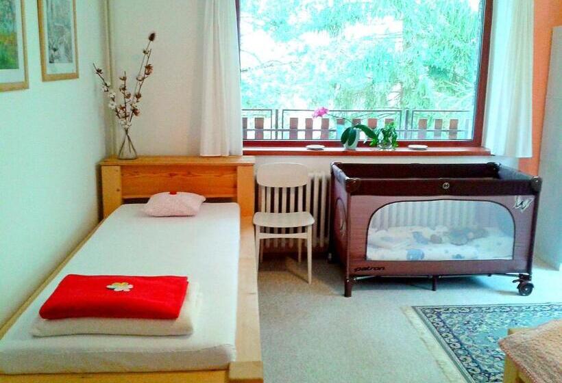 آپارتمان 2 خوابه با بالکن, Penzion Bor