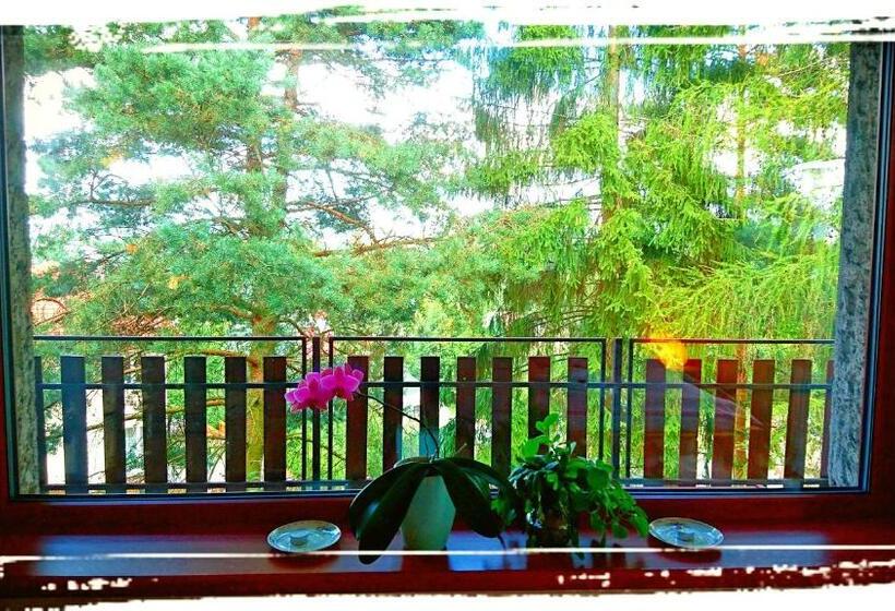 آپارتمان 2 خوابه با بالکن, Penzion Bor