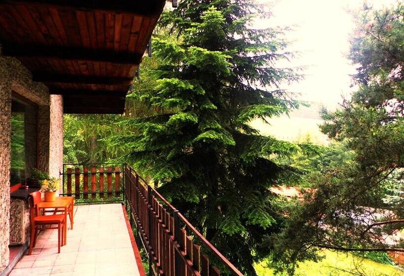 آپارتمان 2 خوابه با بالکن, Penzion Bor
