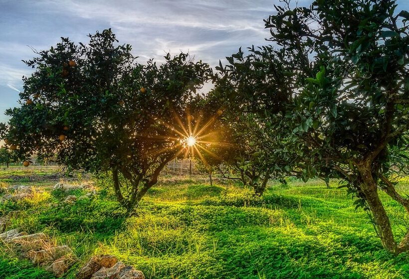 سوئیت 2 خوابه, Weingut & Landhotel Can Davero