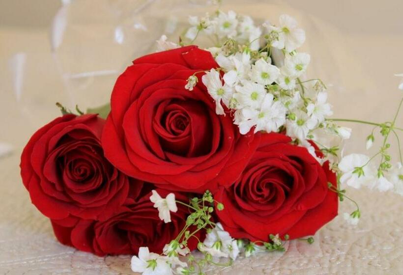 اتاق لوکس با تخت بزرگ, Boutique La Orquidea