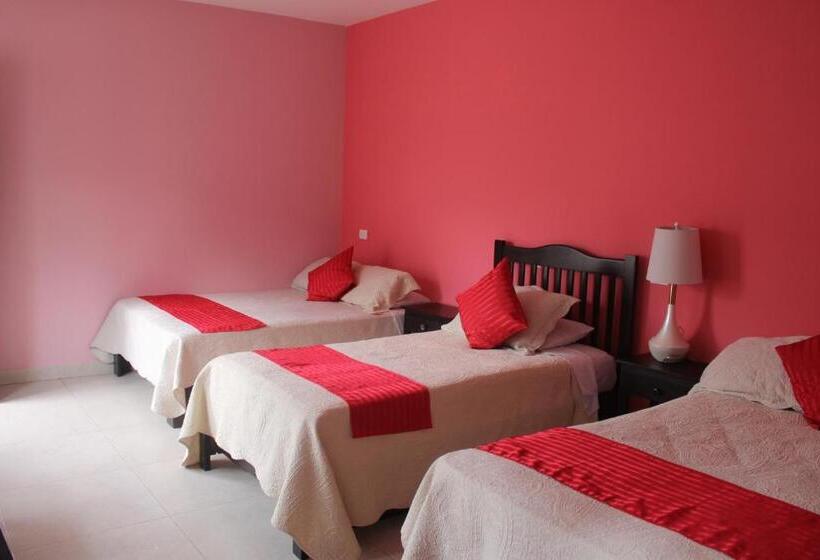 اتاق استاندارد سه نفره, Boutique La Orquidea