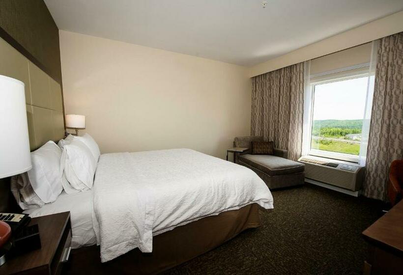 اتاق استاندارد با تخت بزرگ, Hampton Inn & Suites By Hilton Truro