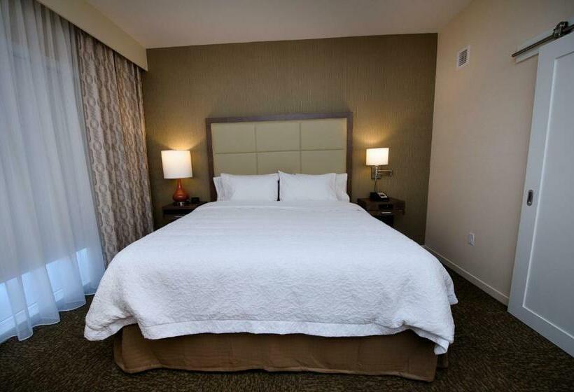 سوئیت با تخت بزرگ, Hampton Inn & Suites By Hilton Truro