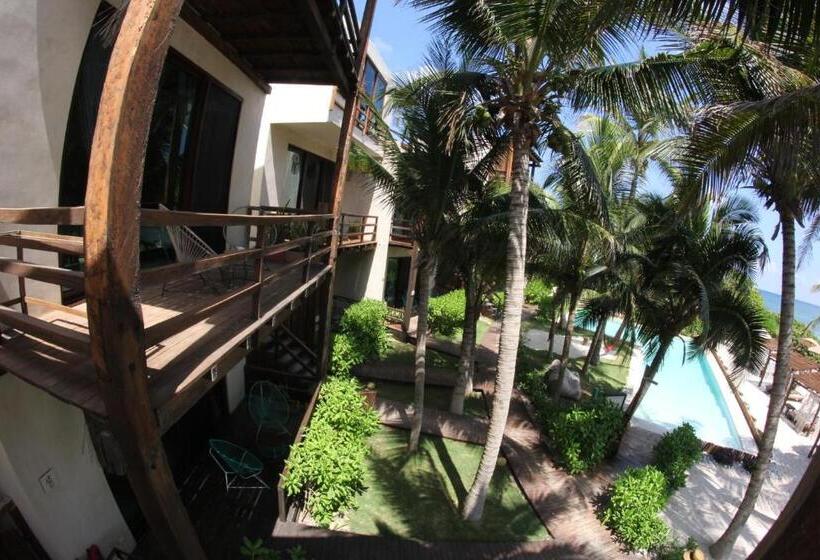 سوییت با چشم‌انداز دریا, Maria Del Mar Tulum   Adults Only