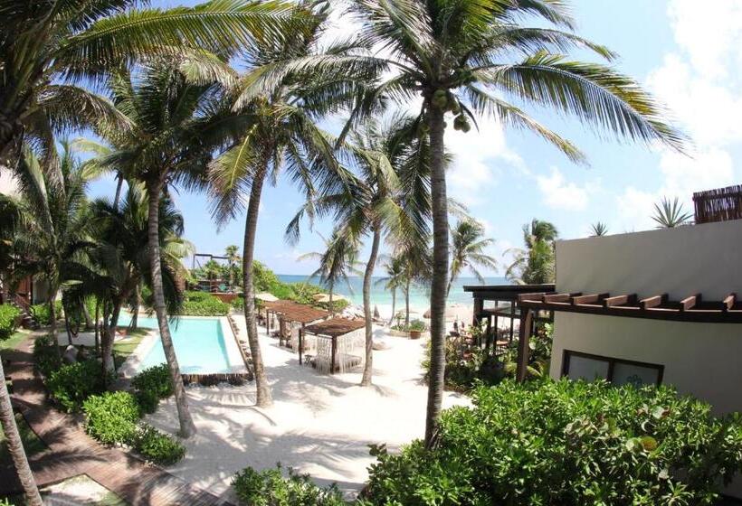 سوییت با چشم‌انداز دریا, Maria Del Mar Tulum   Adults Only