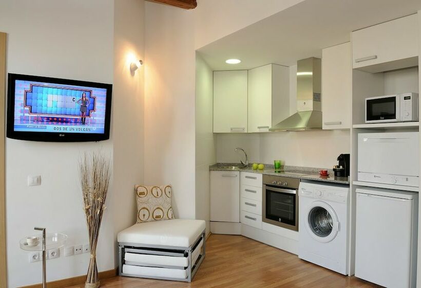 آپارتمان سوپریور 1 خوابه, Apartments Hostemplo Suites