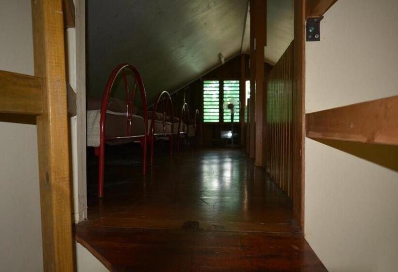 اتاق خانوادگی, Rainforest Eco Lodge
