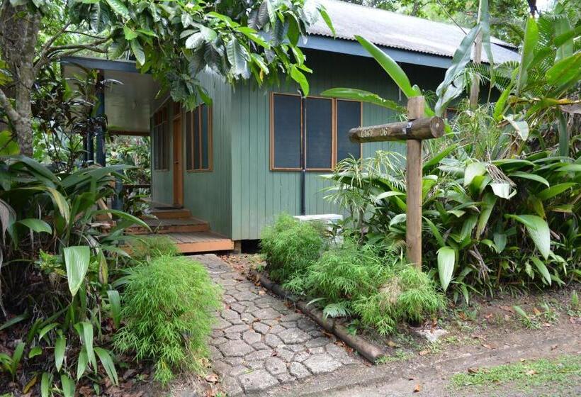 اتاق خانوادگی, Rainforest Eco Lodge