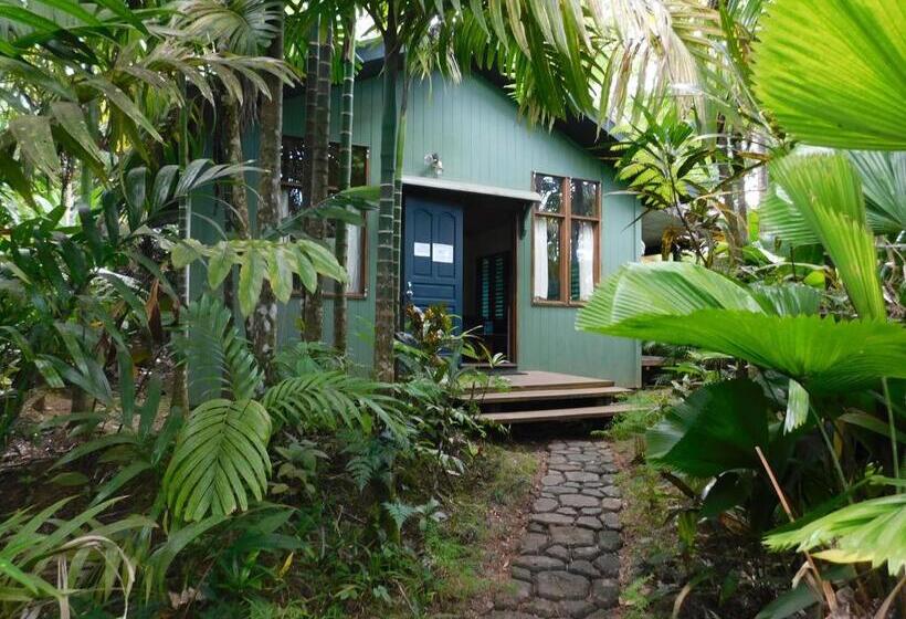 اتاق استاندارد با چشم‌انداز, Rainforest Eco Lodge