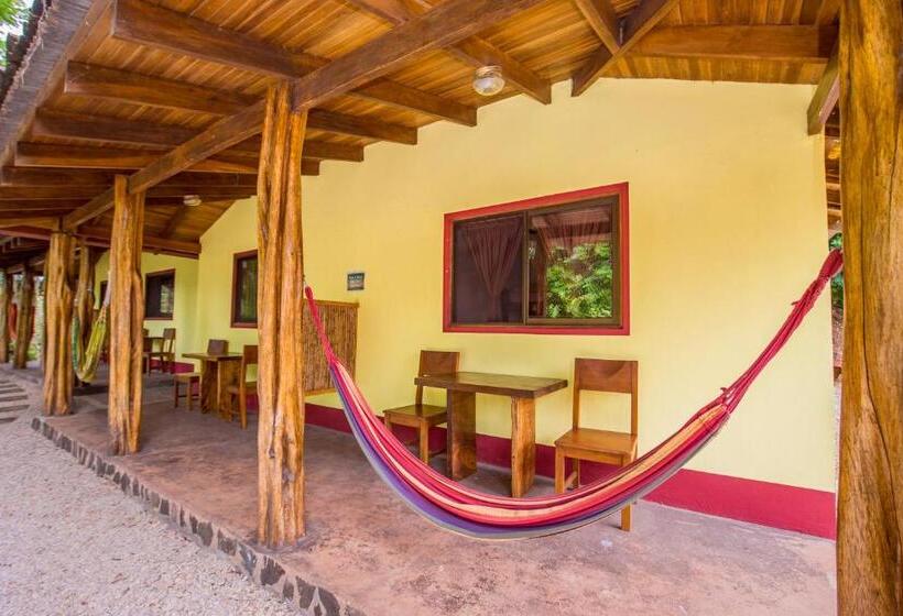 اتاق استاندارد, Indra Inn
