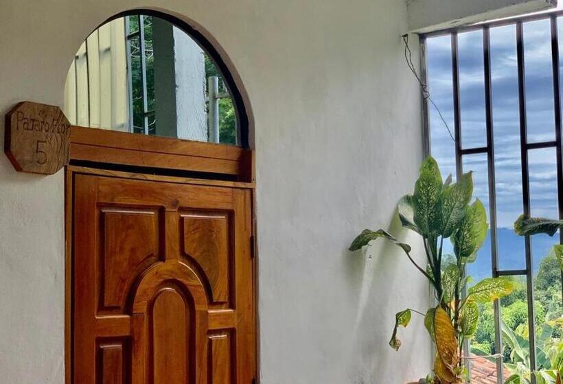 اتاق استاندارد یک نفره, Hostal Raices De Mi Pueblo