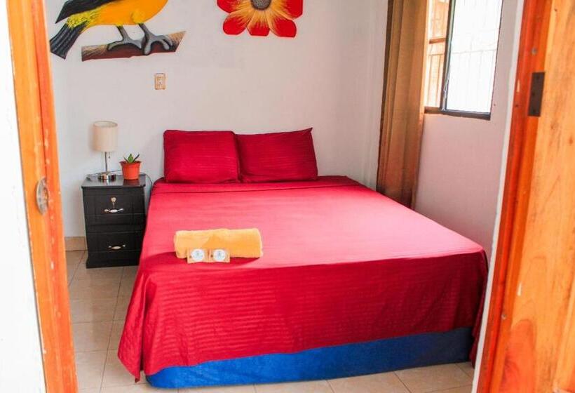 اتاق استاندارد یک نفره, Hostal Raices De Mi Pueblo