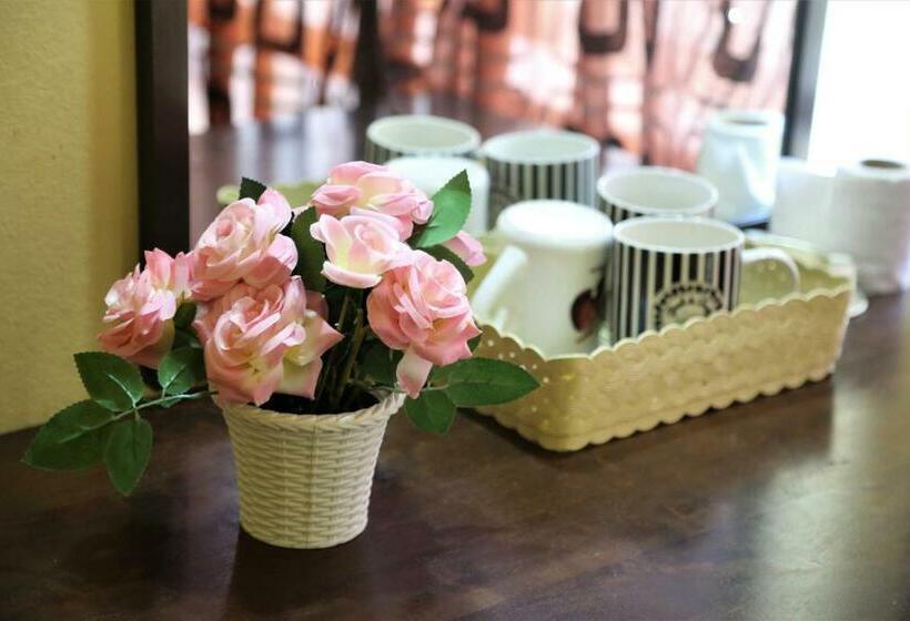 اتاق استاندارد سه نفره, Evonne Budget