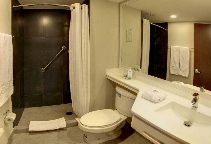 اتاق استاندارد, City Express By Marriott Reynosa Aeropuerto