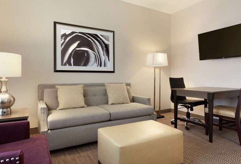 سوییت, Home2 Suites By Hilton Charlotte Airport