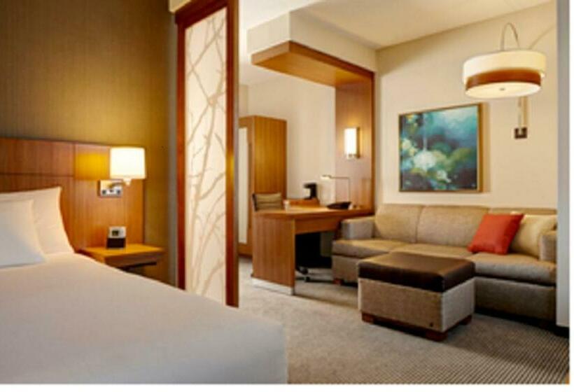 اتاق استاندارد با تخت بزرگ, Hyatt Place Boca Raton