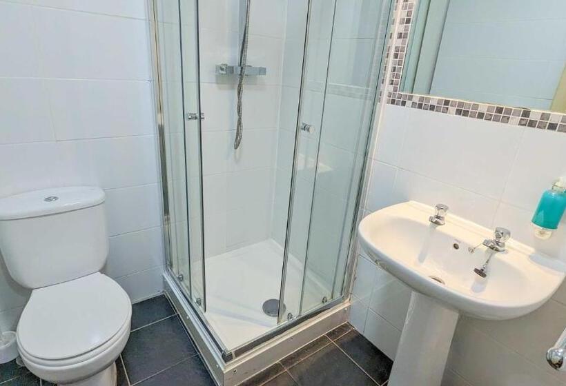 تختخواب در اتاق مشترک, International Inn