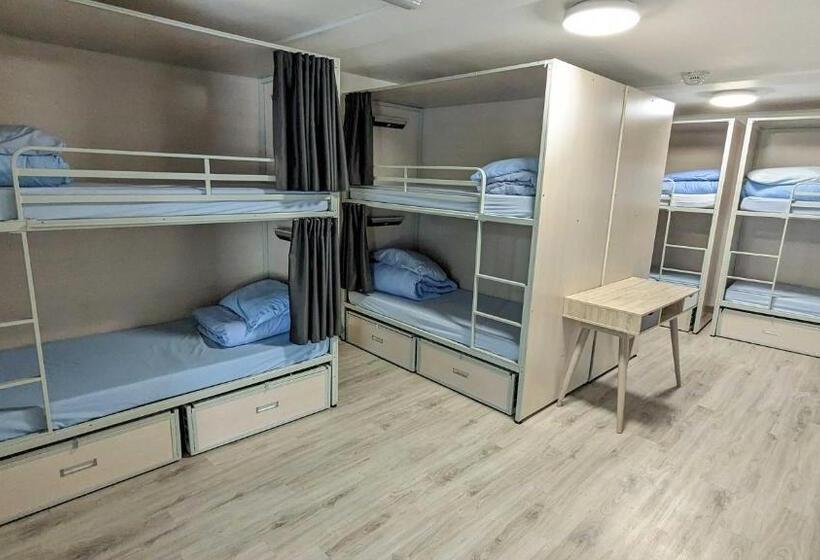 تختخواب در اتاق مشترک, International Inn