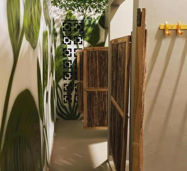 تختخواب در اتاق مشترک, Hostel Boutique Musa Paradisiaca