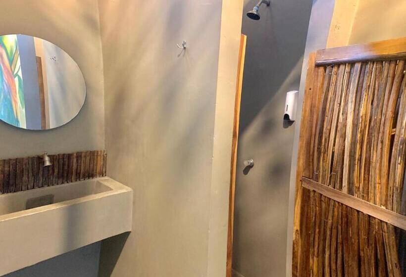 تختخواب در اتاق مشترک, Hostel Boutique Musa Paradisiaca