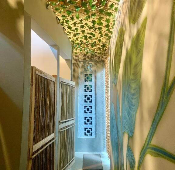 اتاق استاندارد چهارنفره با سرویس بهداشتی مشترک, Hostel Boutique Musa Paradisiaca