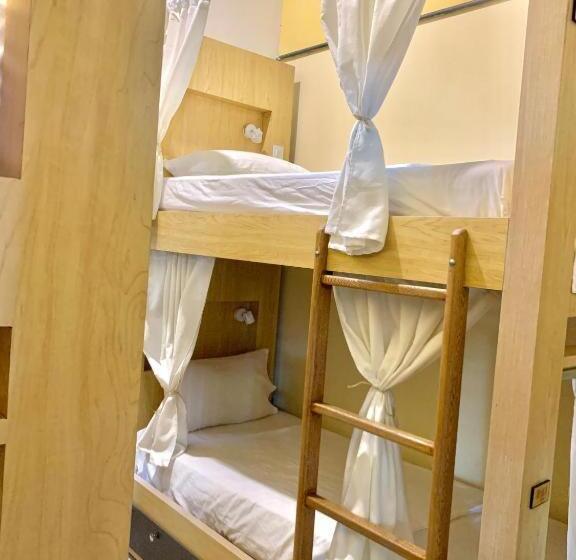 اتاق استاندارد چهارنفره با سرویس بهداشتی مشترک, Hostel Boutique Musa Paradisiaca