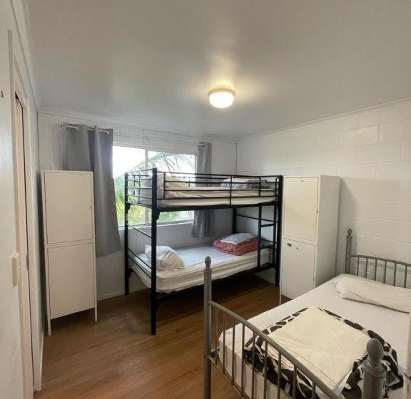 تختخواب در اتاق مشترک, Cali Backpackers