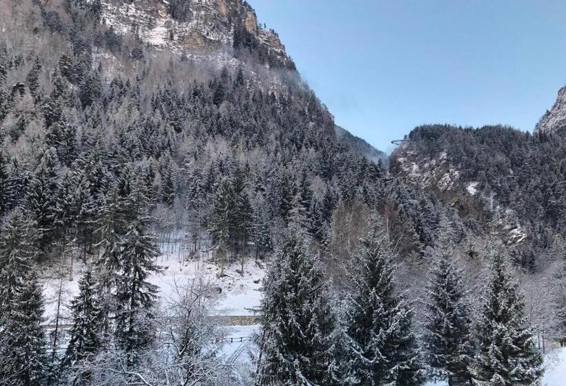 اتاق اکونومی, Edelweiss