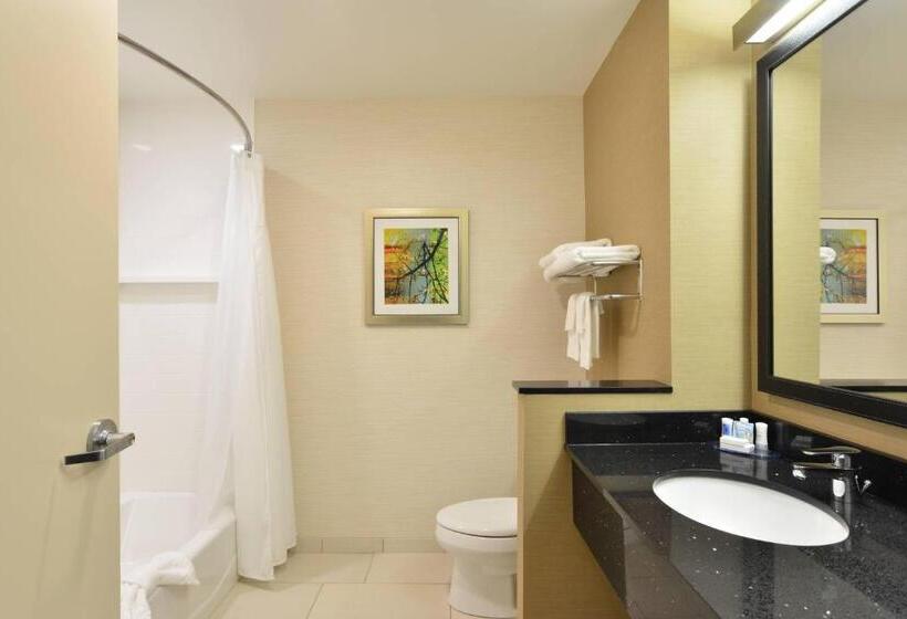 اتاق استاندارد با تخت بزرگ, Fairfield Inn & Suites Eau Claire Chippewa Falls