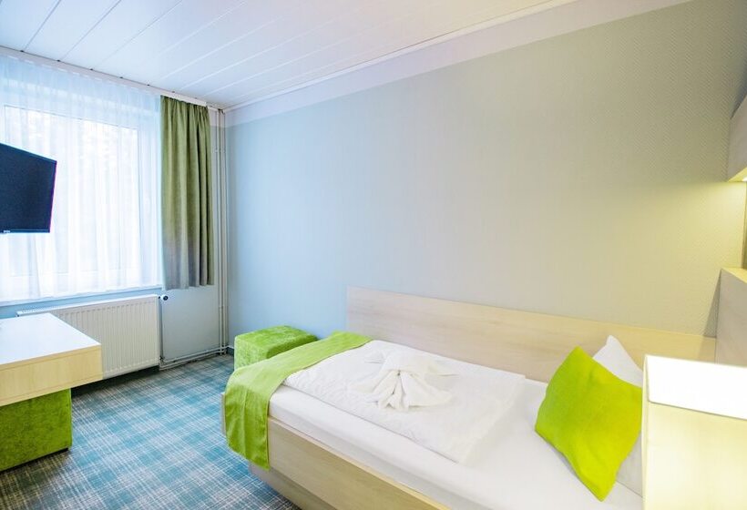 اتاق استاندارد یک نفره, Ferien Hotel Spree Neisse
