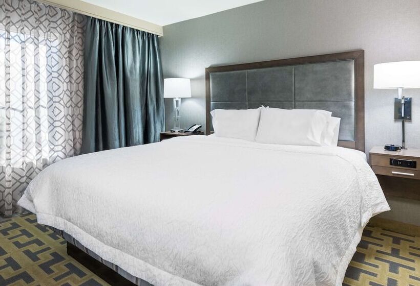 اتاق استاندارد با تخت دوبل, Hampton Inn And Suites Tampa Airport South @ Avion Park
