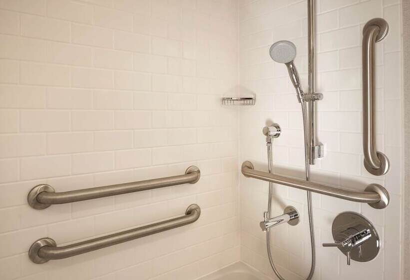 اتاق استاندارد با تخت دوبل برای معلولان, Hampton Inn Chicago West Loop Fulton Market Area
