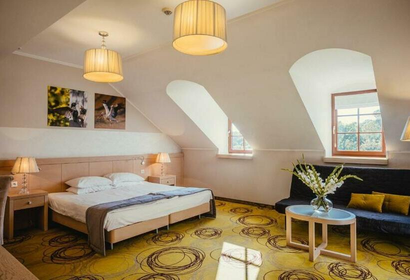 اتاق لوکس, Hanza Pałac Wellness & Spa