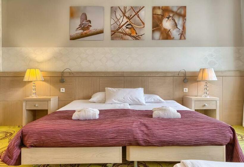 اتاق استاندارد, Hanza Pałac Wellness & Spa