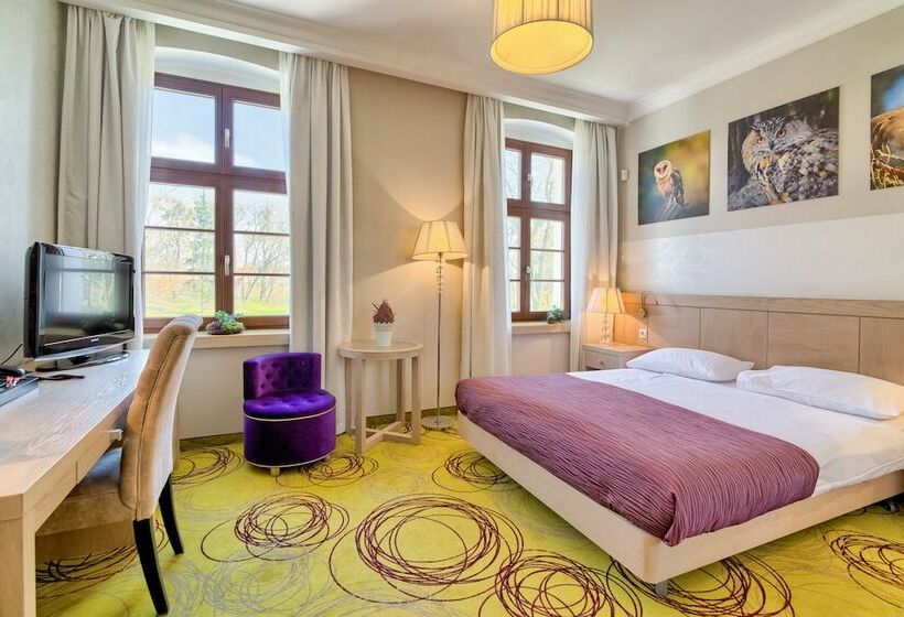 اتاق استاندارد, Hanza Pałac Wellness & Spa