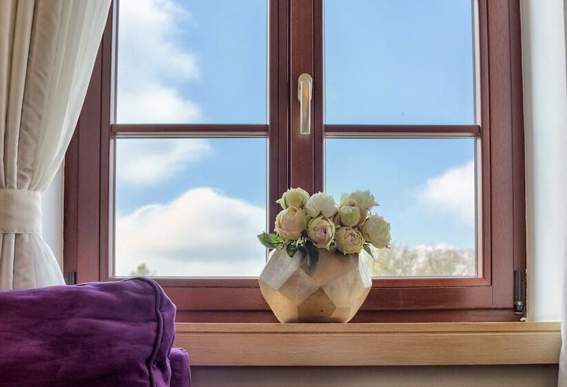 اتاق استاندارد, Hanza Pałac Wellness & Spa