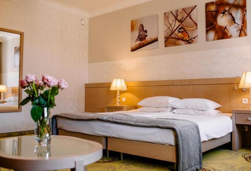 اتاق استاندارد, Hanza Pałac Wellness & Spa