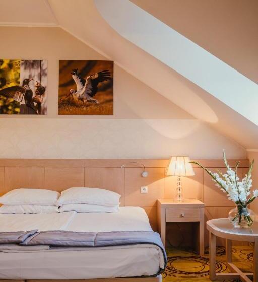 اتاق لوکس, Hanza Pałac Wellness & Spa