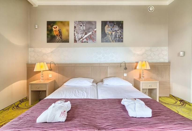 اتاق استاندارد یک نفره, Hanza Pałac Wellness & Spa