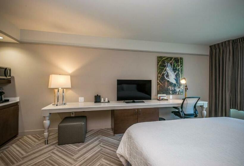 اتاق استاندارد با تخت بزرگ, Hilton Garden Inn Mobile Downtown