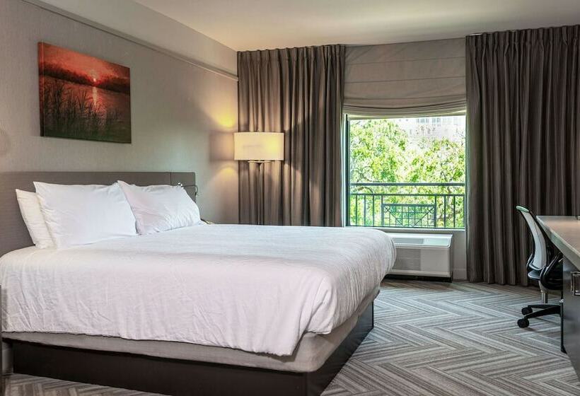 اتاق استاندارد با تخت دوبل, Hilton Garden Inn Mobile Downtown