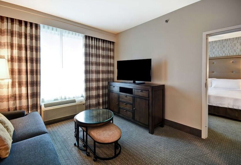 سوئیت با تخت بزرگ, Homewood Suites By Hilton Dallas Arlington South