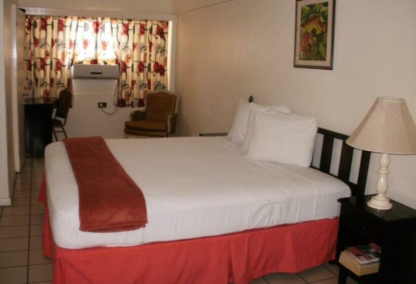 اتاق استاندارد با تخت بزرگ, Pineapple Court