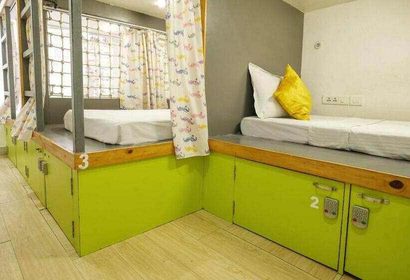 تختخواب در اتاق مشترک, Moustache Hostel Jaipur