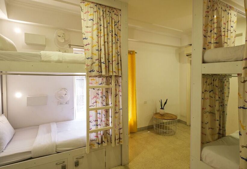 تختخواب در اتاق مشترک, Moustache Hostel Jaipur